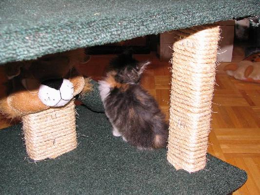 New Brunswick 2004 022.jpg